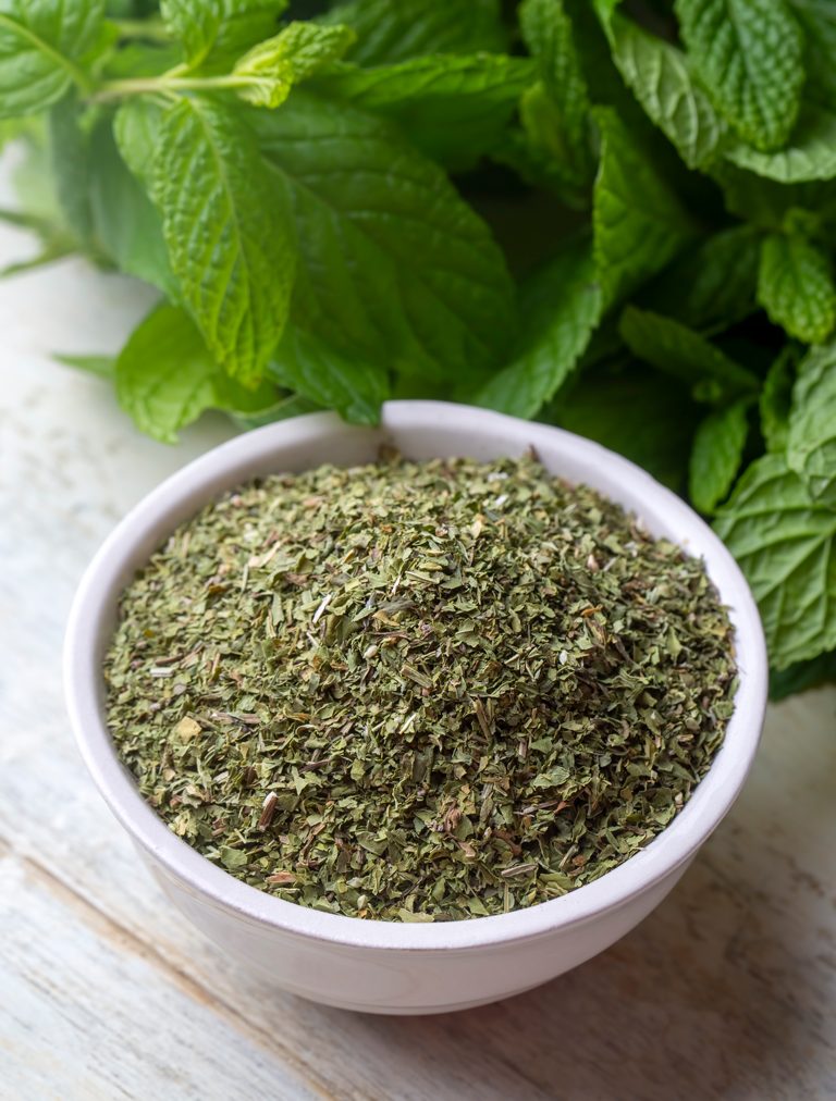 dried-mint-green-fresh-mint-isolated