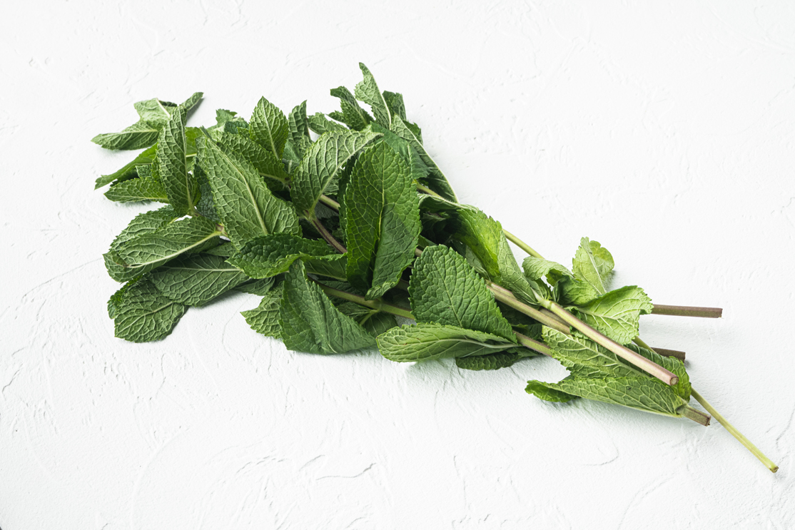 fresh-mint-leaves-herb-set-white-stone