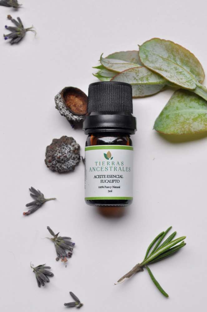 Aceite Esencial de Eucalipto - Image 3